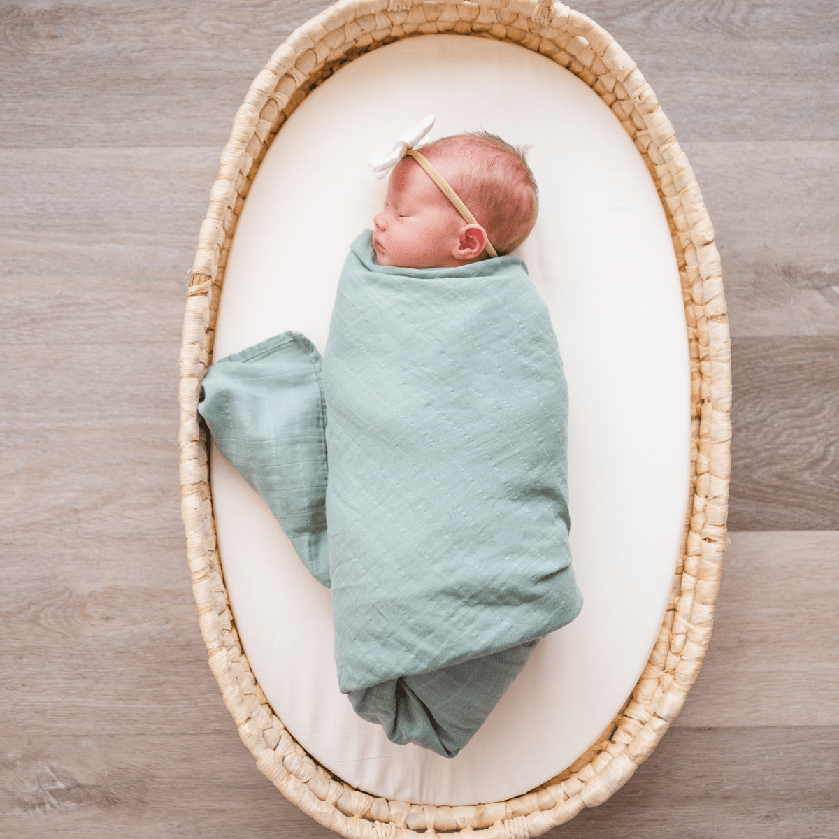 Organic Muslin Swaddle Blanket Green bug bean kids