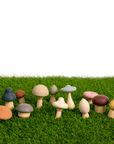 Wood + Silicone Mushroom Sorting Set