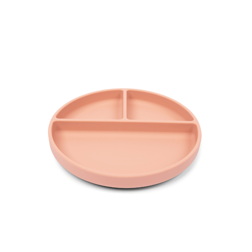 Silicone Suction Plate with Lid - Muted Clay