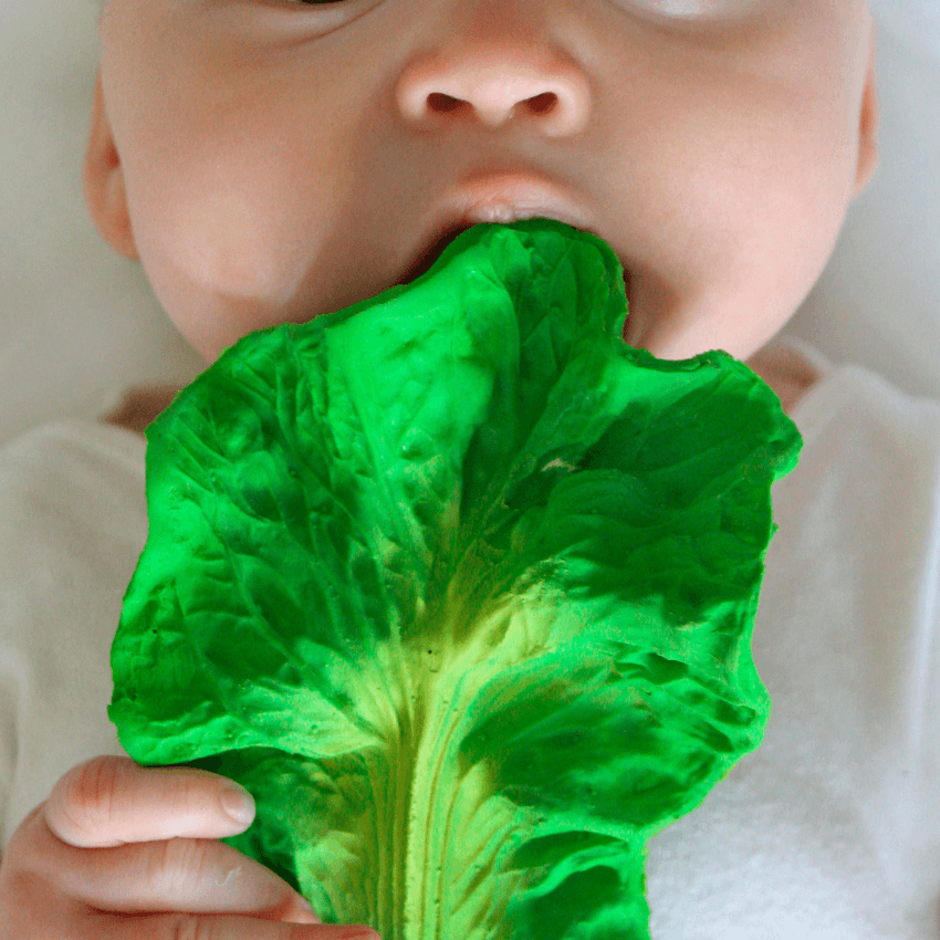 Rubber Teether, Kendall the Kale
